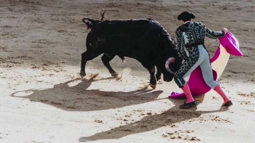 PROHIBEN corridas de toros con violencia en CDMX tras protestas y enfrentamientos