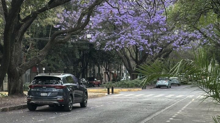 Clima en CDMX 19 de marzo: Se esperan altas temperaturas ¿A qué hora lloverá Hoy?