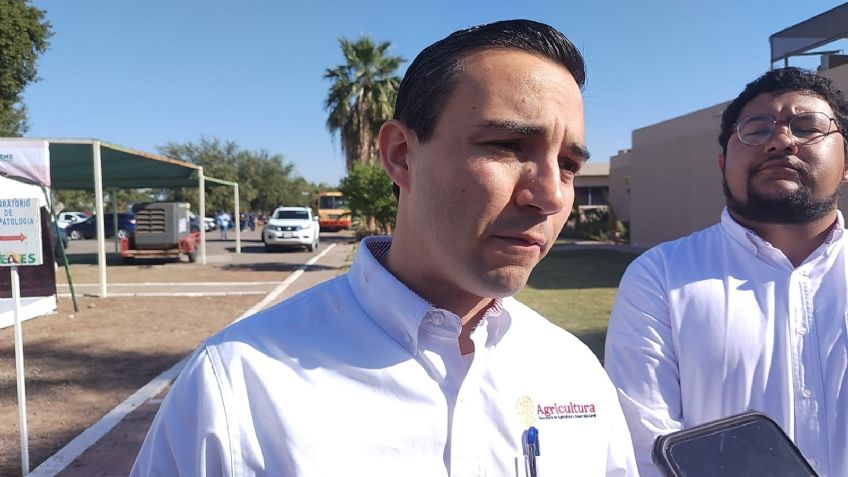 Sonora: Dispersan 800 mdp en beneficio de más de cuatro mil productores