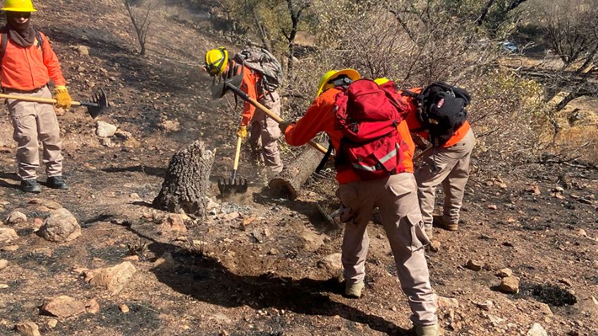 10 incendios se han registrado en Sonora este 2025: Protección Civil; piden tomar cuidados especiales