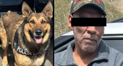 Hermosillo: Binomio canino detecta a sujeto con narcóticos en colonia Luis Echeverría