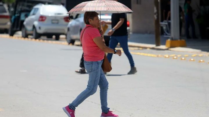 Clima en México hoy 08 de marzo: Conagua alerta por frente frío, lluvias y nevadas