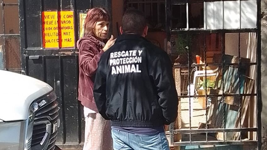 Fiscalía de Sonora investiga aparición de perros y gatos muertos al norte de Hermosillo