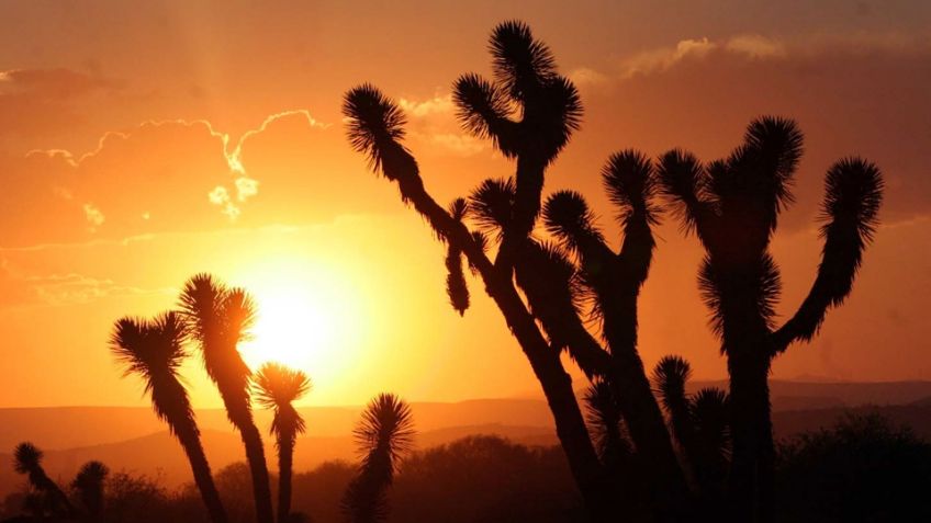 Clima en Sonora: CONAGUA pronóstica que abril será bienvenido con tolvaneras y lluvias