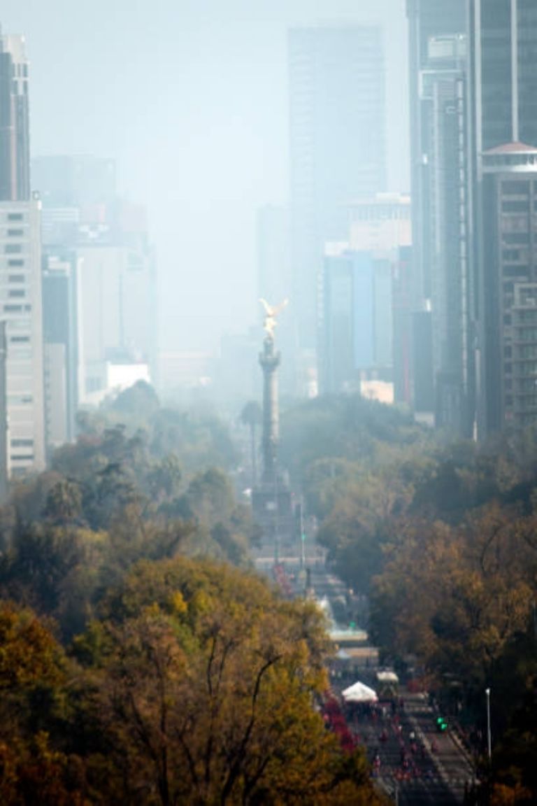 Contingencia Ambiental atmosférica por ozono en la Zona Metropolitana del Valle de México