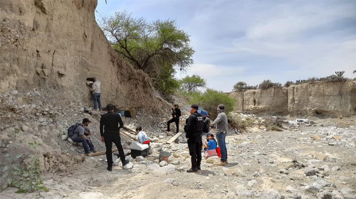 Entérate: Hallan supuestos restos fósiles de mamut en Tamaulipas; INAH ya investiga