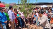 Foto ilustrativa de la nota titulada 'Oxigenando Guaymas': Ponen en marcha reforestación en el puerto con 10 mil árboles