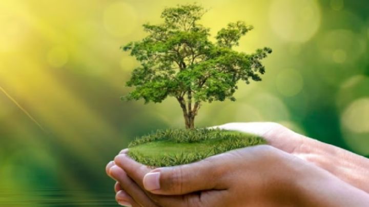 ¿Por qué se celebra el Día Internacional de la Tierra este 22 de abril? Origen de la fecha