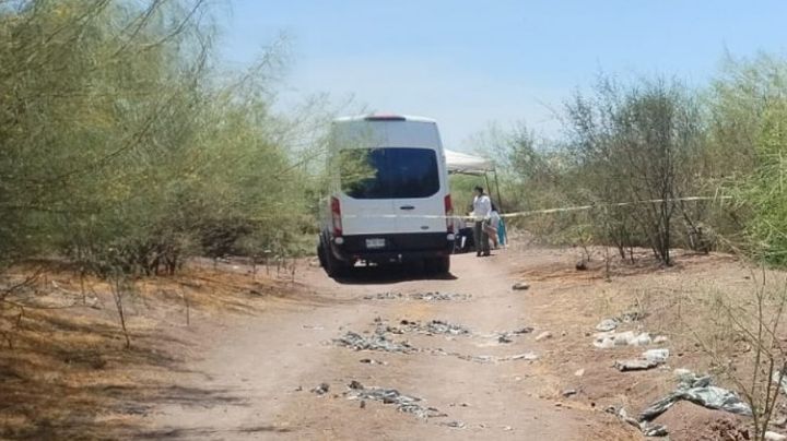 Cementerio clandestino en Culiacán: Colectivo halla 11 cuerpos enterrados en siete fosas