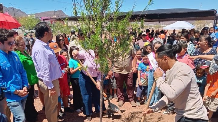 'Oxigenando Guaymas': Ponen en marcha reforestación en el puerto con 10 mil árboles