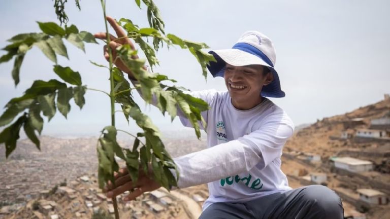 Se realizan campañas de reforestación con motivo del Día Internacional de la Tierra