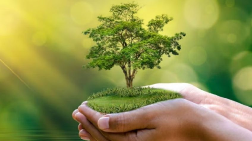 ¿Por qué se celebra el Día Internacional de la Tierra este 22 de abril? Origen de la fecha