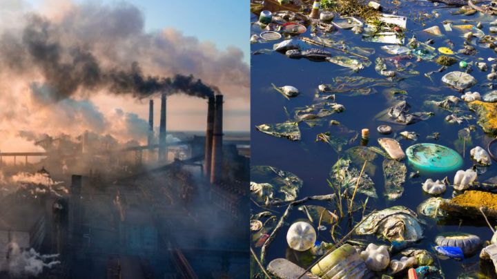 Crisis en el medio ambiente: Acciones para cuidar al planeta desde casa