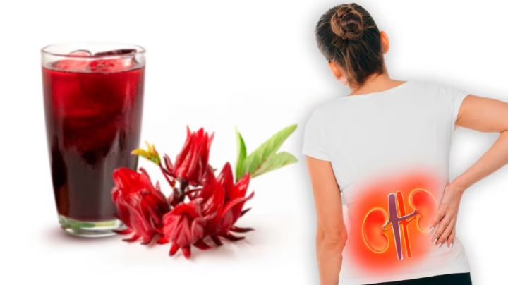 Este té diurético a base de plantas será tu aliado natural para la retención de líquidos