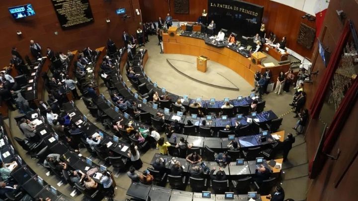 Impugnará Senado candidaturas de aspirantes a cargos del Poder Judicial por supuesta defensa de narcos