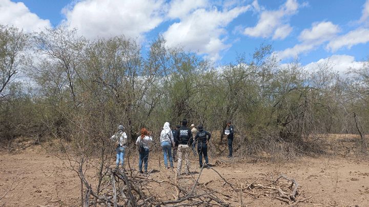 Buscadoras hallan restos humanos en Valle de Guaymas; estaba en estado de putrefacción