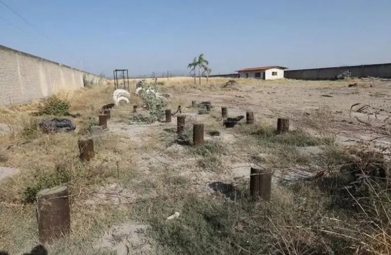 Hallaron un campo de entrenamiento en el predio