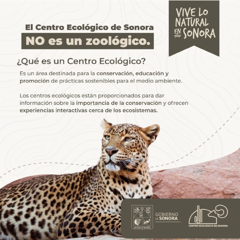Para encontrar información del Centro Ecológico de Sonora es en @gobiernosonora y @CEDESMX