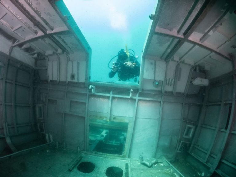 Los buques hundidos se convierten en hogar de especies marinas