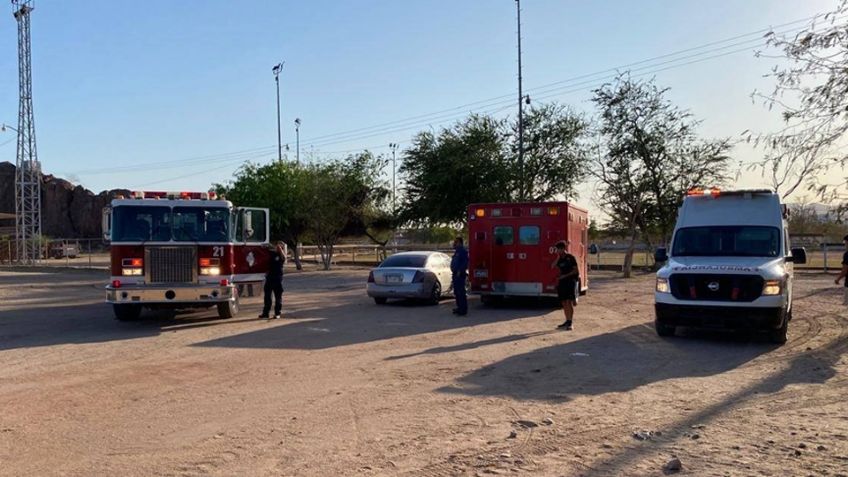 Abejas atacan a siete niños en unidad deportiva de Empalme; sufrieron picaduras