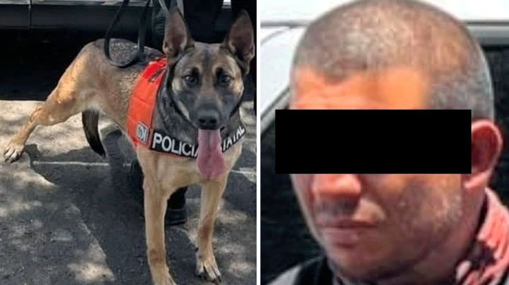 Hermosillo: Binomio canino halla 40 envoltorios de presunto narcótico en Villas del Prado