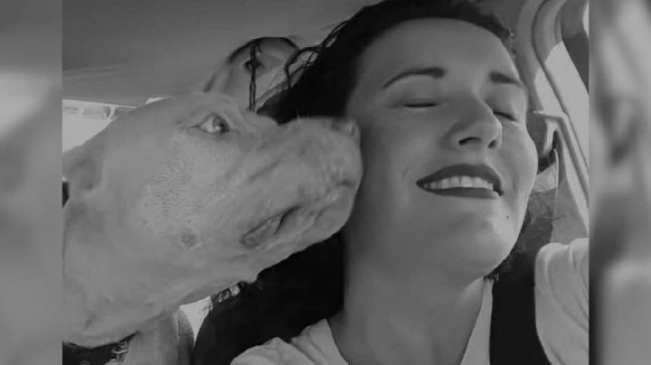 Fiscalía de Sinaloa: asesinato de activista en Culiacán será investigado como feminicidio