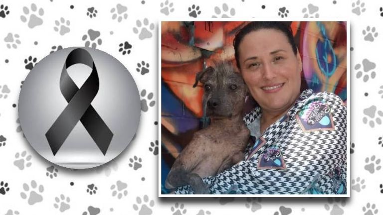 Fiscalía de Sinaloa: asesinato de activista en Culiacán será investigado como feminicidio