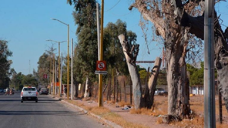 Multas de 8 mil pesos por tomar alcohol en la Calzada en Ciudad Obregón