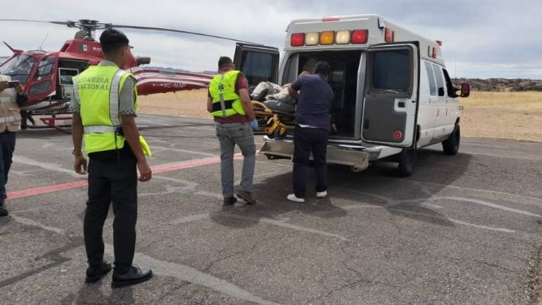 Trabajadores son trasladados al hospital en helicóptero por ataque de abejas en Arizpe