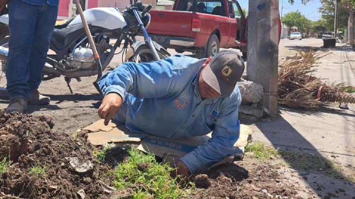Oomapas Navojoa registra hasta 60 reportes por tomas clandestinas al mes