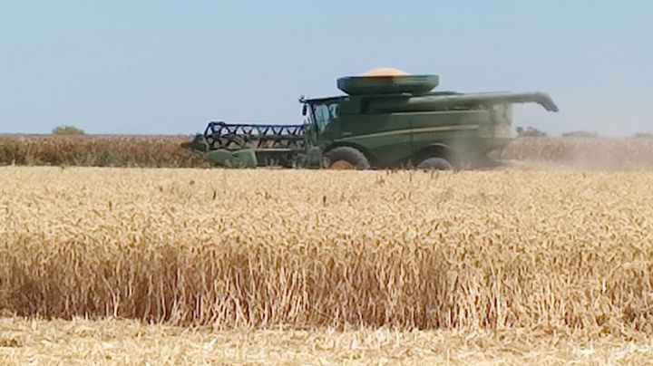 Positivas gestiones del gobernador Alfonso Durazo para fijar precio de referencia: DRRY