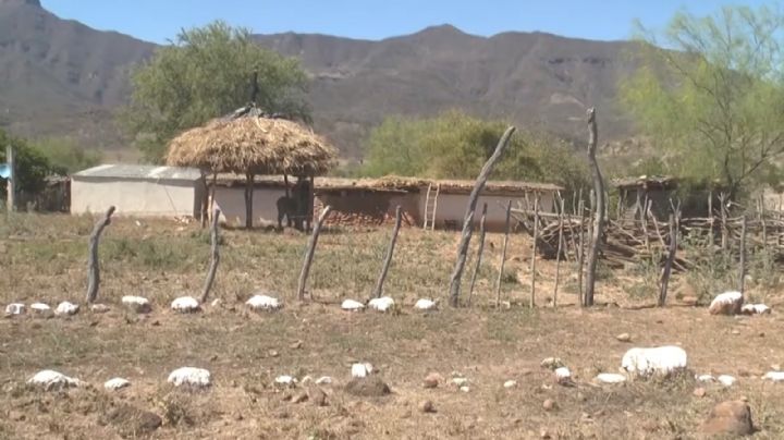 Migración de la etnia guarijía deja ‘pueblos fantasmas’ en la sierra sonorense