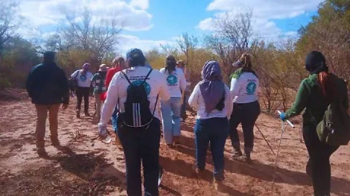 Buscadoras por la Paz Sonora invita a sumarse a jornada de búsqueda en la entidad