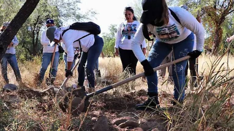 Buscadoras por la Paz Sonora invita a sumarse a jornada de búsqueda en la entidad