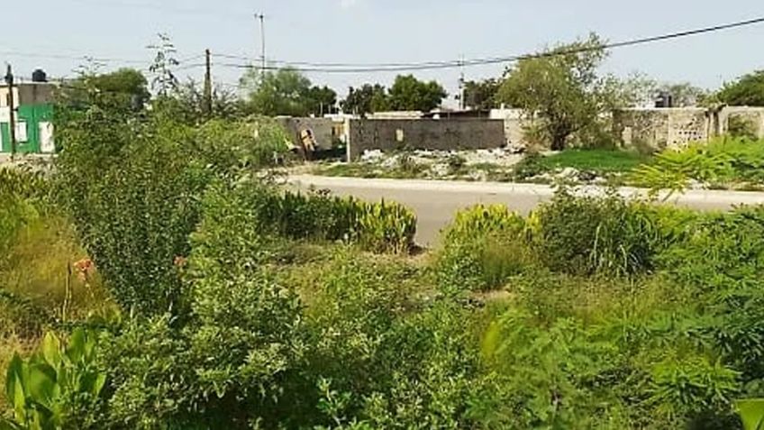 La urbanización en Hermosillo ha desaparecido áreas verdes importantes para la ciudad