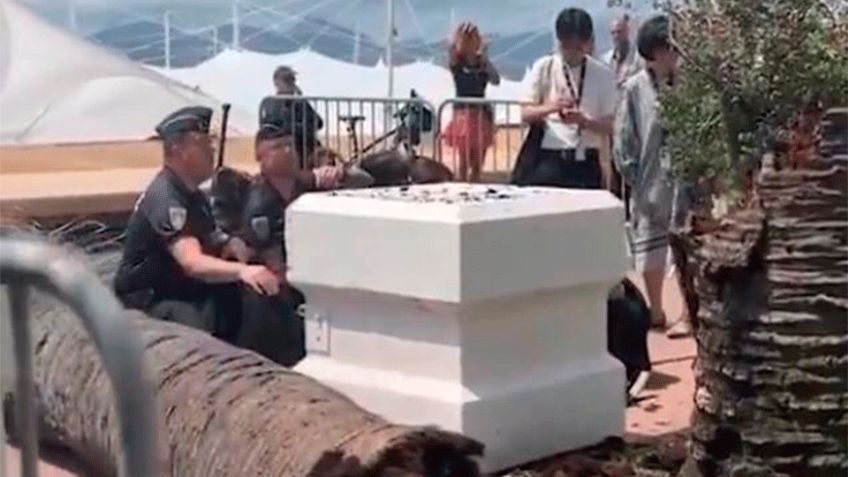 Hombre es herido de gravedad tras caída de una palmera en Festival de Cannes 2025
