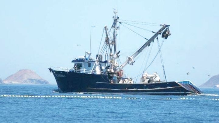 Producción sardinera disminuye por el clima en Guaymas; son 12 mil toneladas menos