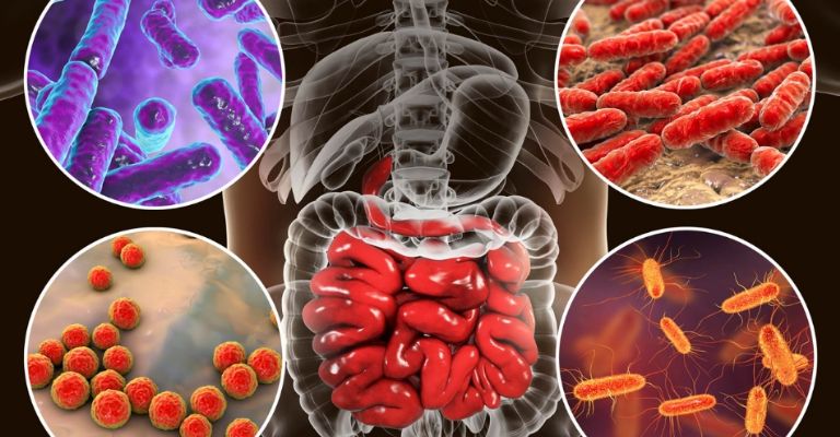 Mantén tu intestino saludable