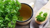 Foto ilustrativa de la nota titulada Infusión de perejil, planta herbácea que ayuda con los síntomas de la menstruación