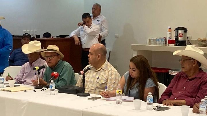 Productores del sur de Sonora, en busca de reactivar el Plhino