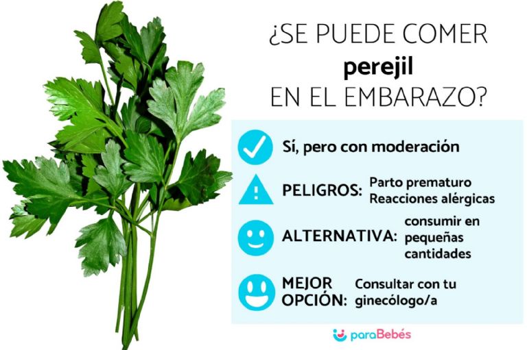 Consumir té de perejil durante el embarazo