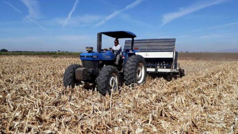 Productores del sur de Sonora, en busca de reactivar el Plhino