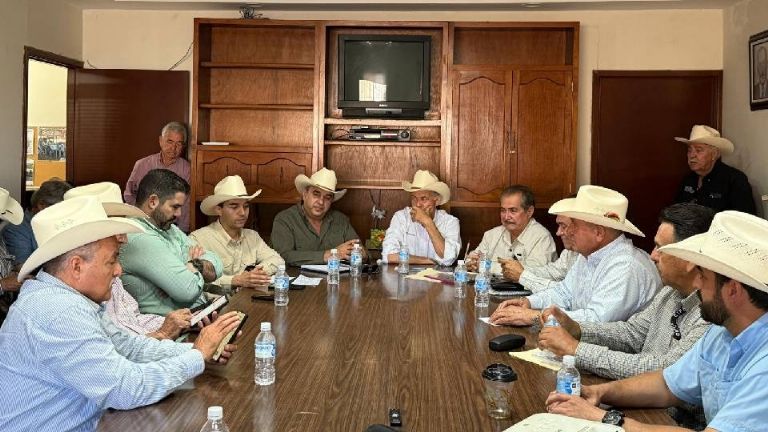 Sonora libre de gusano barrenador asegura la Sader