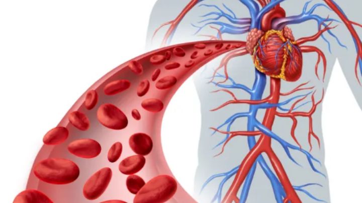 5 alimentos naturales que ayudan a limpiar las arterias y mejorar la salud del corazón