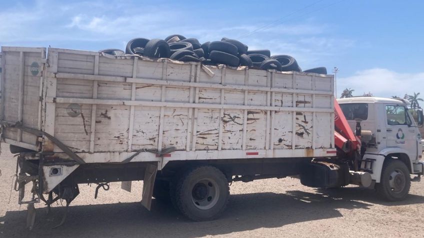 Cajeme se encuentra libre de dengue, zika y chikungunya, afirman autoridades