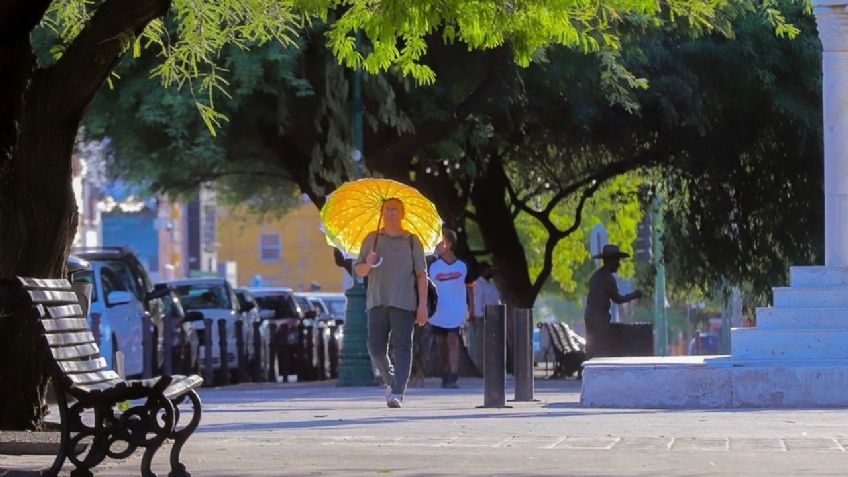 Clima en Sonora HOY lunes 26 de mayo: Conagua prevé altas temperaturas y vientos fuertes