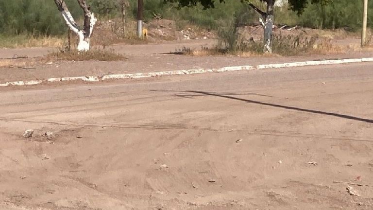 En junio iniciará rehabilitación en el PICO en Ciudad Obregón