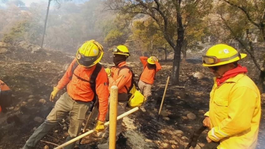 Incendios forestales en Yécora dejan pérdidas importantes a ganaderos