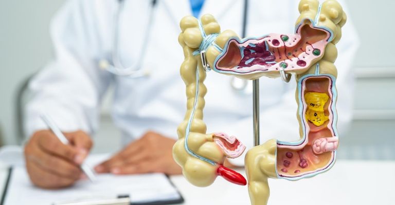 Cuida tu salud digestiva