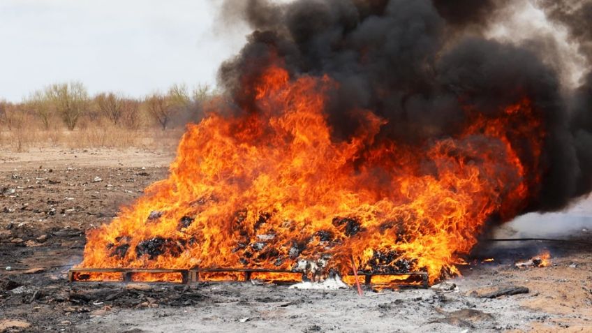 Destruyen 245 kilos de drogas en Hermosillo; fueron decomisados al crimen organizado